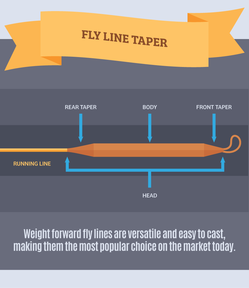 Choosing The Right Fly Line For Stillwater Trout Fishing
